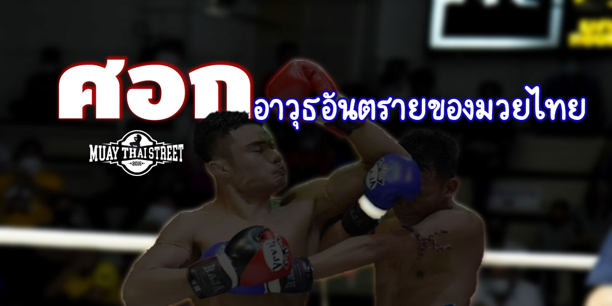 ศอก อาวุธอันตรายของ มวยไทย ( Muay Thai )