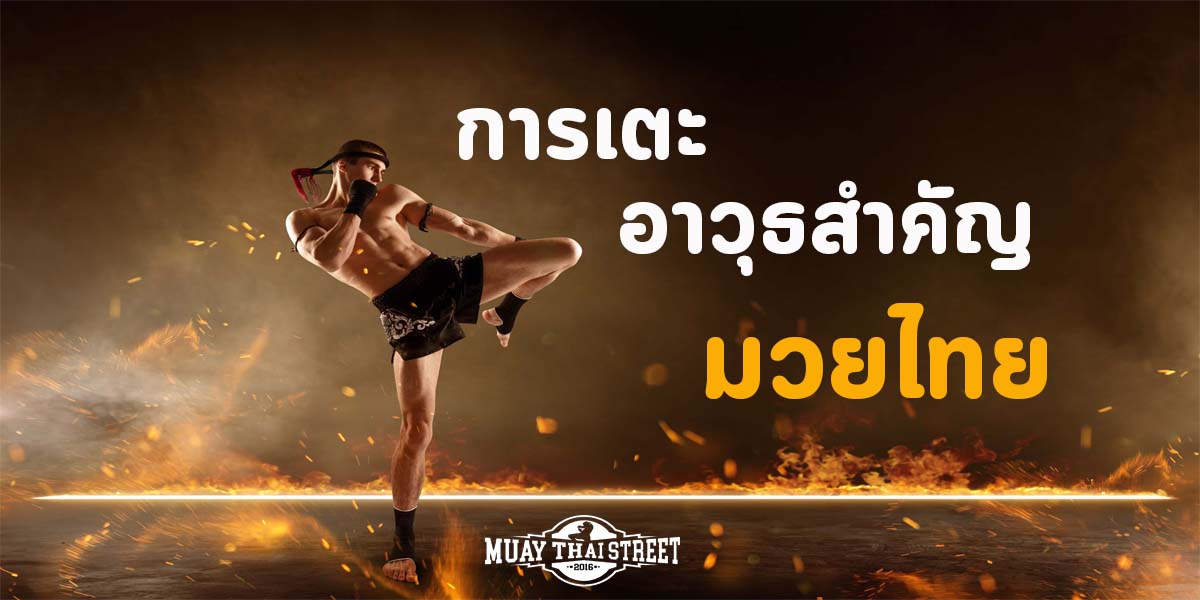 การเตะ อาวุธ สำคัญ มวยไทย ( Muay Thai )