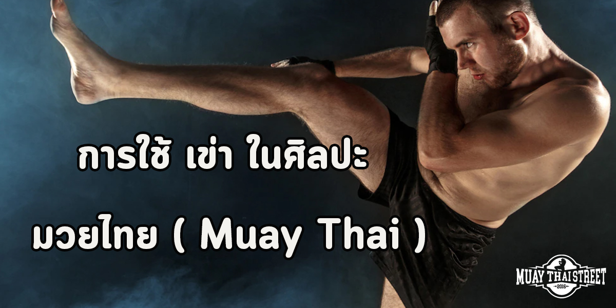 การใช้ เข่า ในศิลปะ มวยไทย ( Muay Thai )