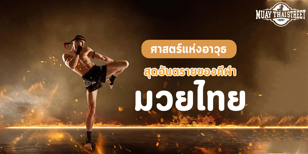 ศาสตร์แห่งอาวุธ สุดอันตรายของ กีฬา มวยไทย